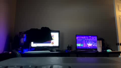 beaniebaby2 online show from January 21, 6:34 pm