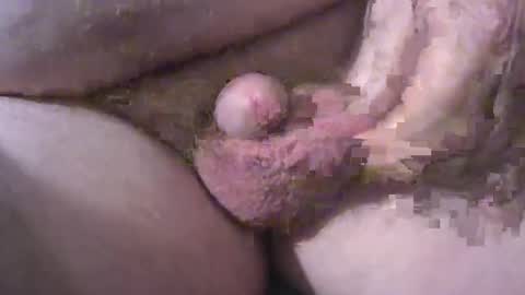 bear online show from January 9, 2:28 am