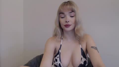 POLLY online show from November 11, 11:56 am