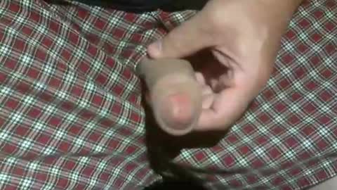  Reservoir Dogs online show from October 25, 9:30 am