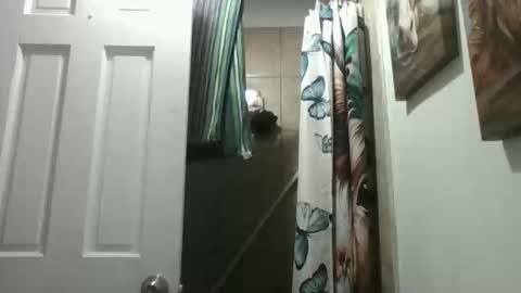 beesmithfield online show from April 29, 4:28 am