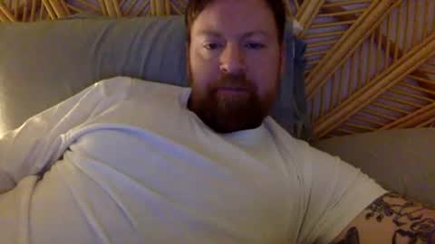Beewolf online show from October 17, 10:25 pm