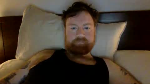 Beewolf online show from December 30, 3:58 am
