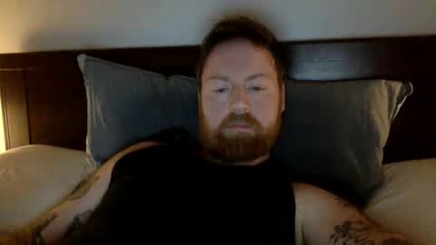 Beewolf online show from February 14, 10:25 pm