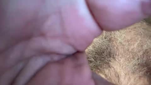 benz10001 online show from October 3, 11:40 am