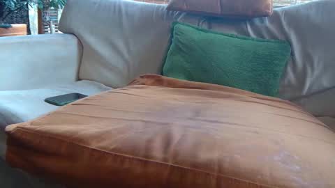 Thanos Cock online show from October 20, 4:56 pm