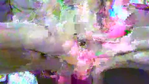 bientry009 online show from November 21, 9:07 am