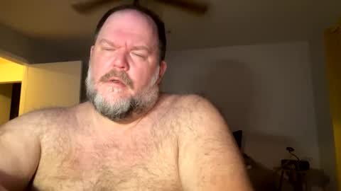 Bear Woods online show from November 4, 2:46 am