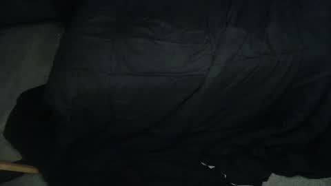 bigcalvin10 online show from July 3, 4:17 am
