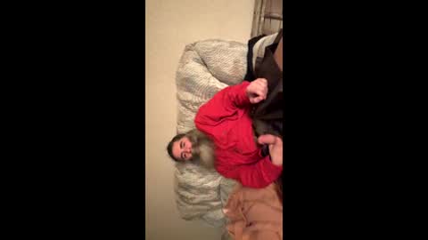 Bearded Dad online show from November 29, 6:32 am