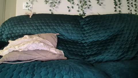 bigdicktrannynicole online show from September 18, 5:55 am