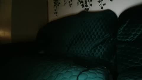 bigdicktrannynicole online show from November 17, 8:28 am