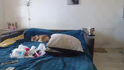 BigTwinsOmg online show from March 3, 7:26 am