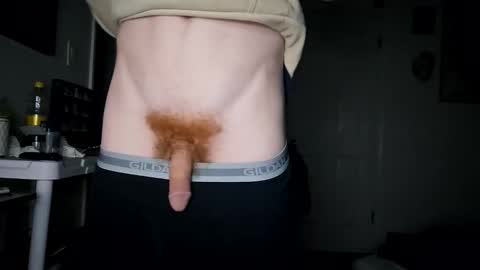 Onlyfans redheadedwhitedick online show from November 1, 3:07 am