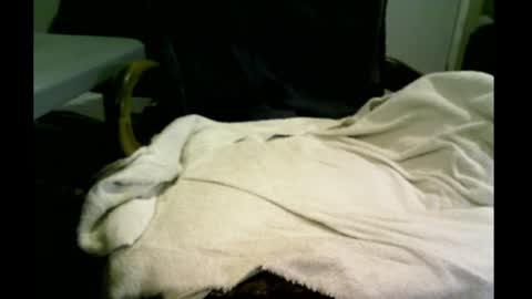 Snapshot of bimale4hotphuk chatting on February 20, 9:44 am bimale4hotphuk online show from February 20, 9:44 am