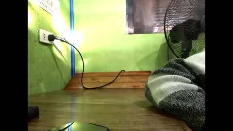 Crystal online show from January 12, 8:32 am