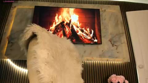 Snapshot of blackmilk_01 chatting on September 17, 1:31 am Karina online show from September 17, 1:31 am