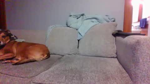 blaw_1321 online show from March 5, 9:59 pm