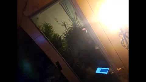 Gia  online show from December 10, 11:08 pm