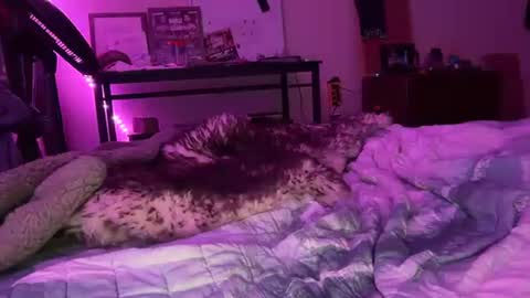 blondebunny999 online show from January 7, 1:54 am