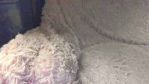 Adelina  online show from February 18, 10:03 pm