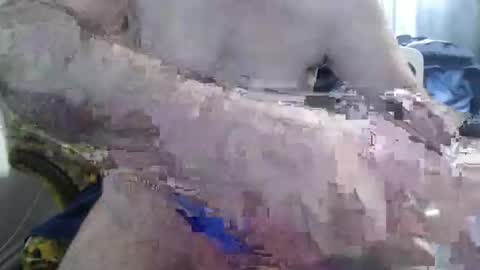 bolbil1 online show from November 25, 6:07 pm