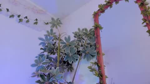   online show from March 19, 12:27 am