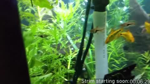 Booker Baxton online show from February 8, 4:03 am