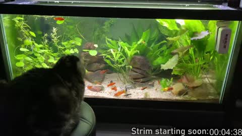 Booker Baxton online show from February 9, 4:04 am