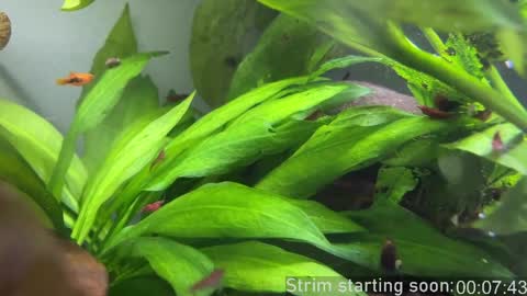 Booker Baxton online show from May 27, 3:03 am