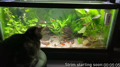 Booker Baxton online show from February 27, 4:02 am