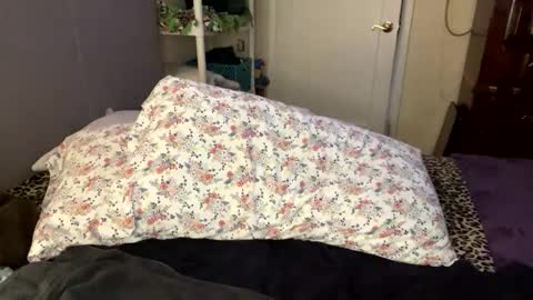 Snapshot of bossmomma chatting on February 21, 5:42 pm BossMom online show from February 21, 5:42 pm