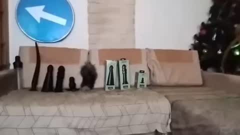 Bes7assquirt online show from February 22, 7:14 pm