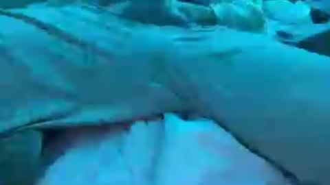 BoyToyBenny online show from June 25, 7:24 am