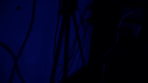 Brenda online show from July 28, 8:52 pm
