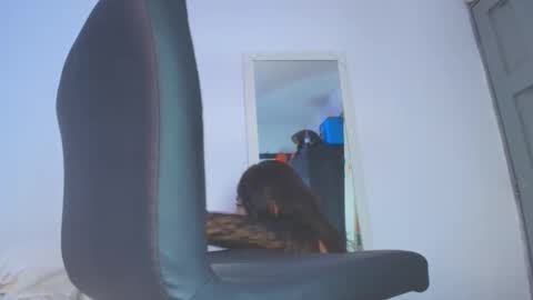 BRIANNA online show from March 4, 9:17 am