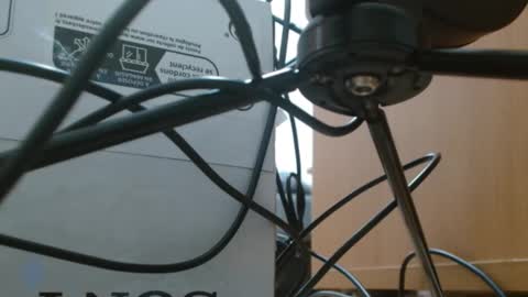 brigittebia777 online show from October 10, 3:34 am