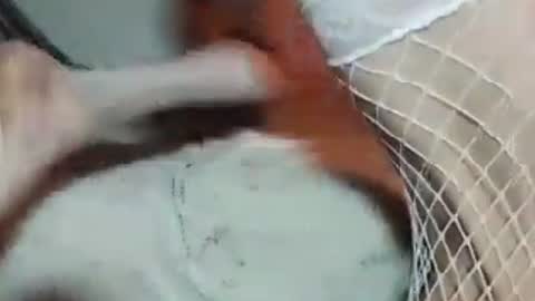brittany69cd online show from July 15, 5:02 am