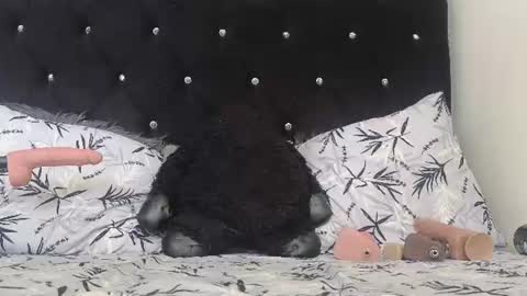 Briyith Gonza online show from July 15, 7:51 pm