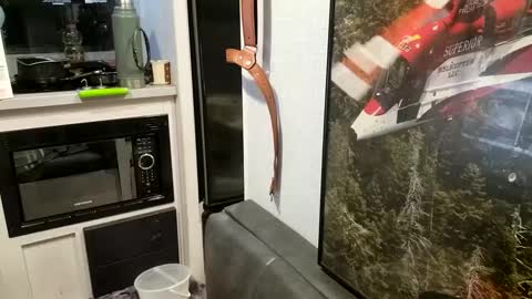 Snapshot of brushsquach chatting on February 21, 10:07 am Steve... aka SkinnieDippin aka TimberTramp online show from February 21, 10:07 am