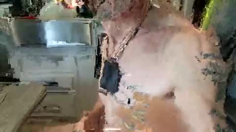 Snapshot of brushsquach chatting on October 15, 5:58 pm Steve... aka SkinnieDippin aka TimberTramp online show from October 15, 5:58 pm