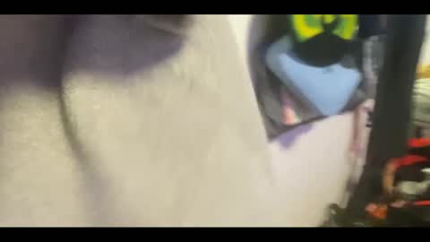 Snapshot of bukkakebae chatting on September 15, 8:43 pm bukkakebae online show from September 15, 8:43 pm