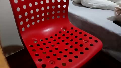 bullspain27266272 online show from February 19, 8:31 pm