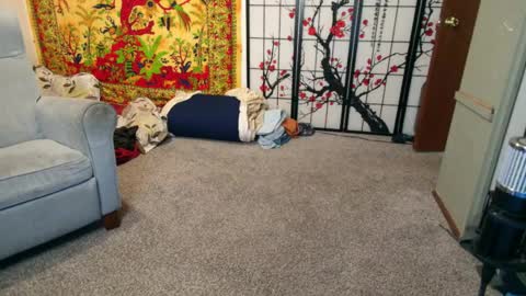 Shane online show from March 28, 3:35 pm