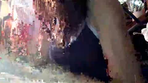 bunniandcryme online show from November 23, 2:26 pm