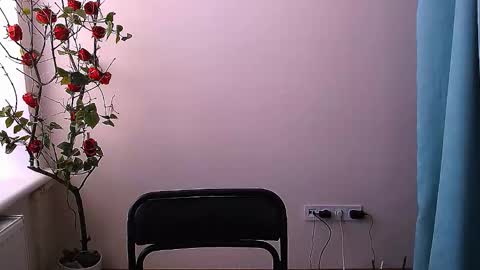 Ariel online show from November 4, 6:59 am