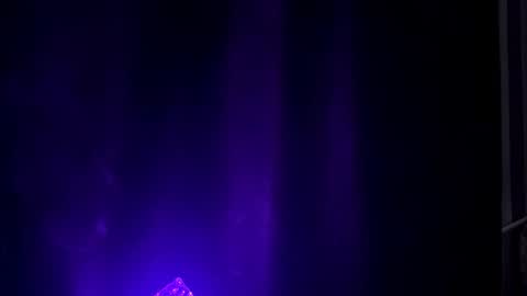 Bella online show from June 21, 9:16 am