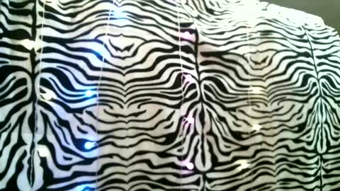 bustinfree online show from February 24, 3:42 pm