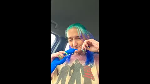 Butterfly and Bear online show from April 13, 3:49 pm