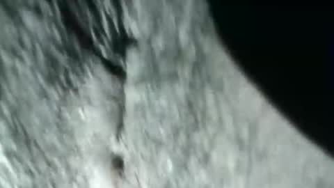 buttholeissweet online show from October 27, 5:29 am